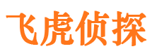 江源市侦探调查公司